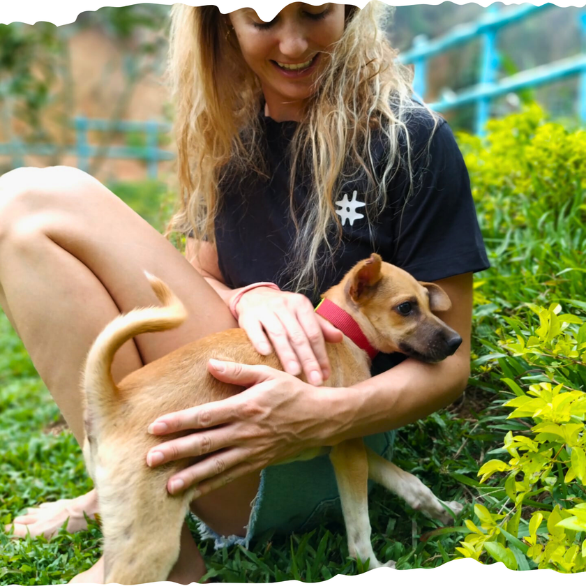 Bruised Skater (Black)