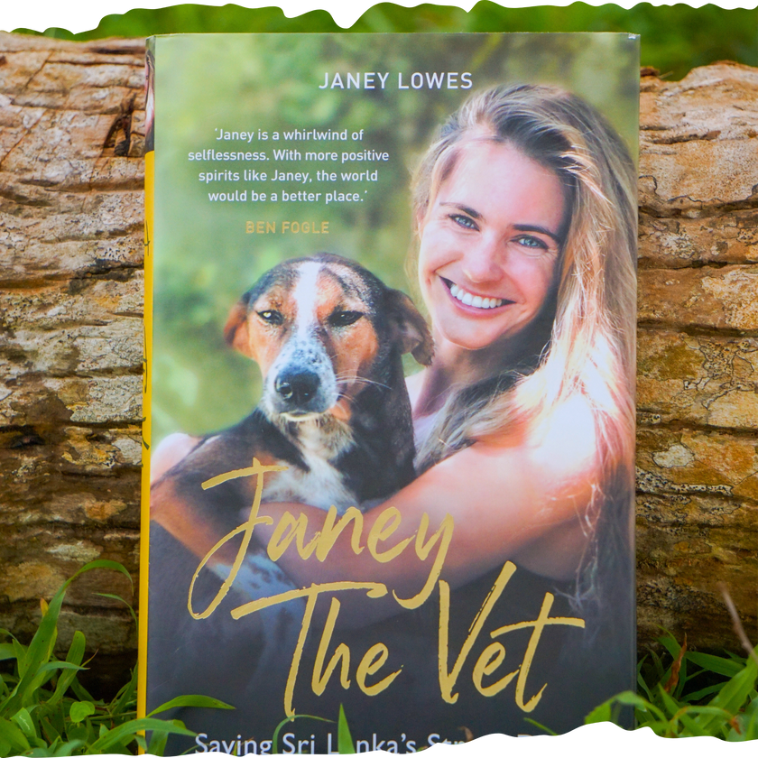 Janey the Vet: Saving Sri Lanka's Street Dogs