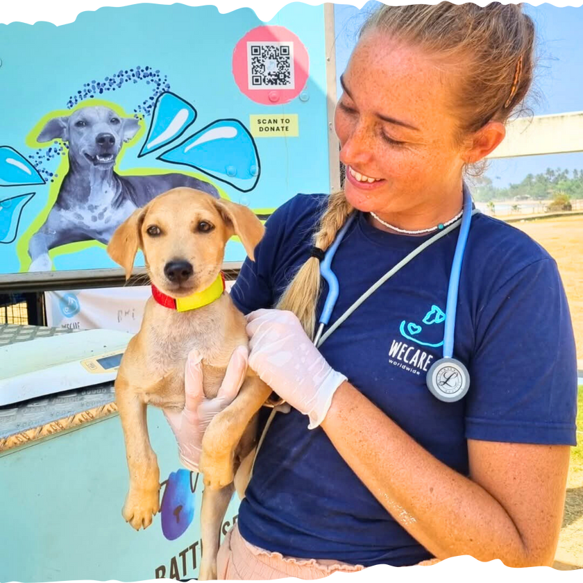 WECare Women’s Navy T-Shirt