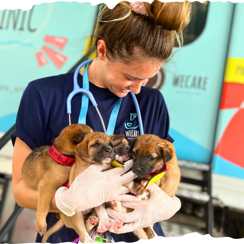 WECare Women’s Navy T-Shirt