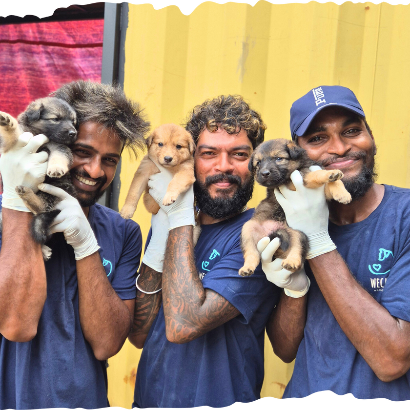 WECare Unisex Navy T-Shirt